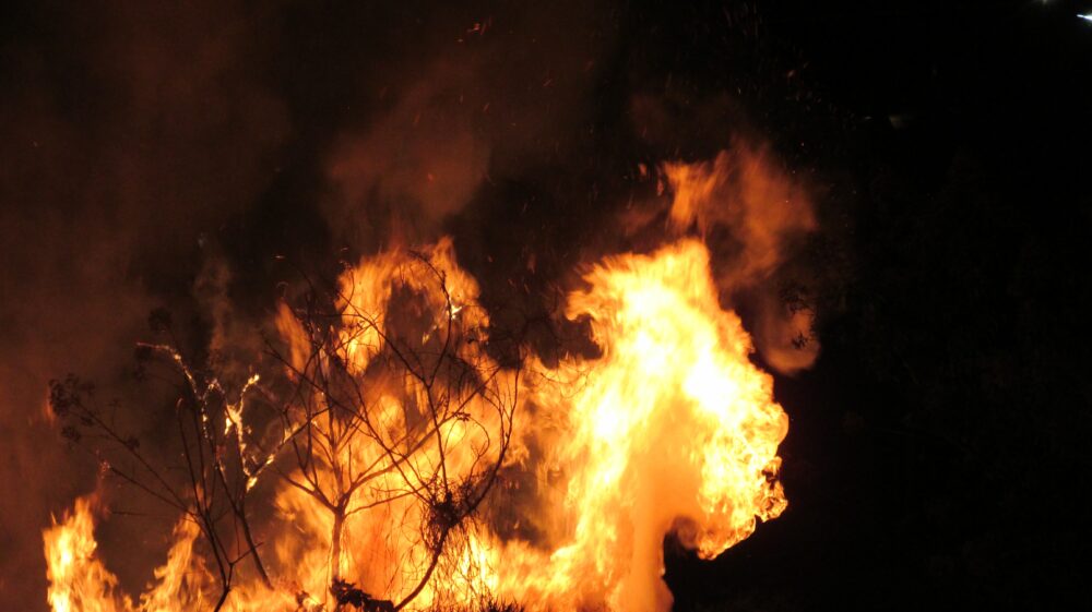 Forest fire