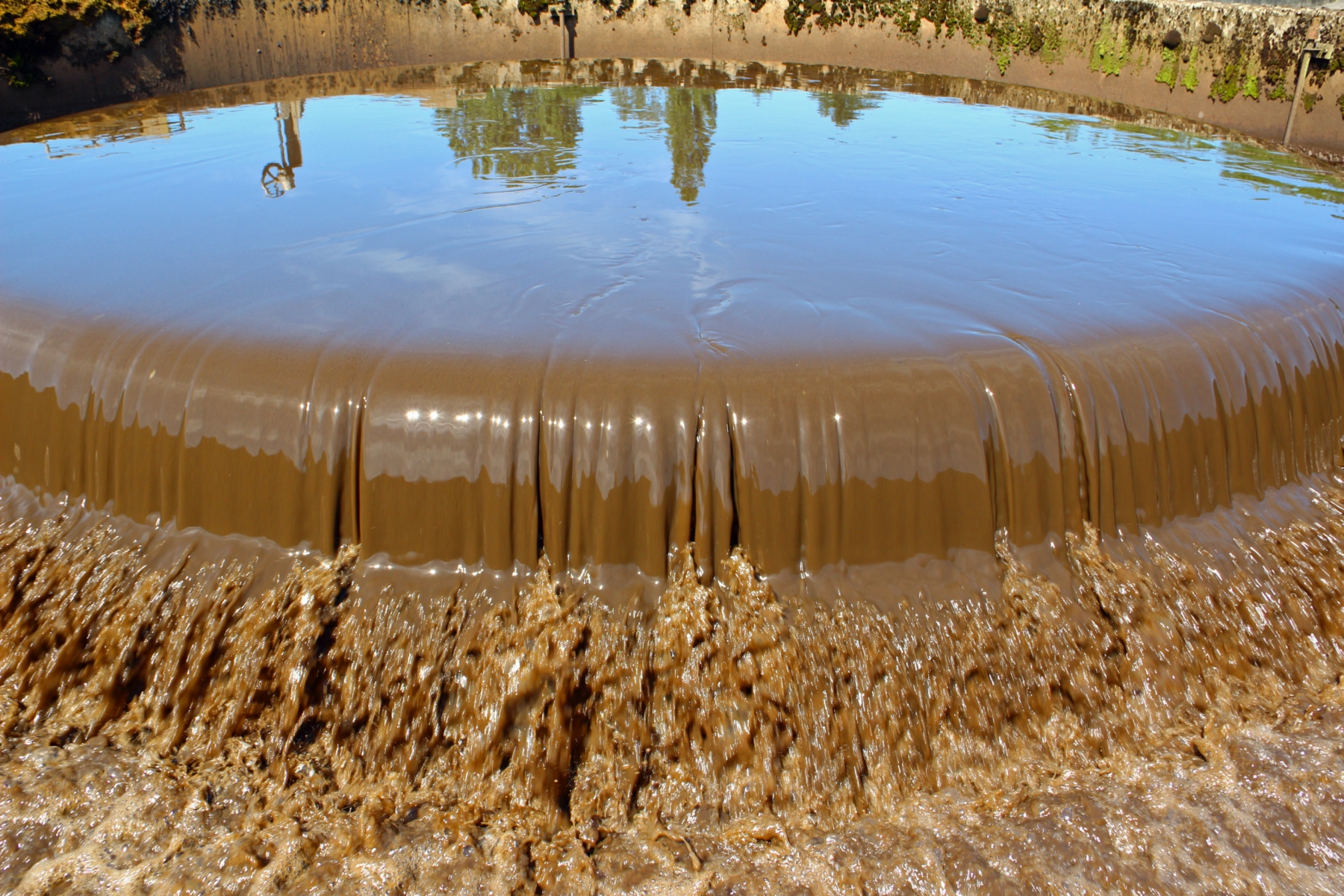 Not a pretty picture, but an important step in waste water treatment. This step separates solid waste from water.