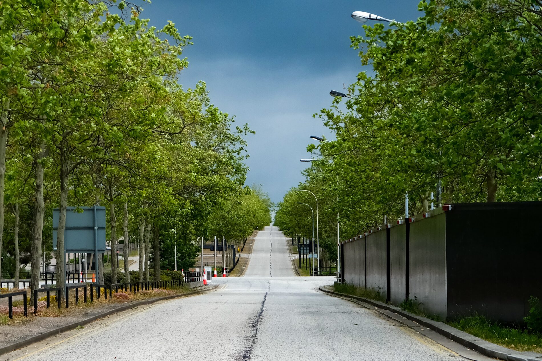 Empty road in Milton Keynes, UK lined with trees