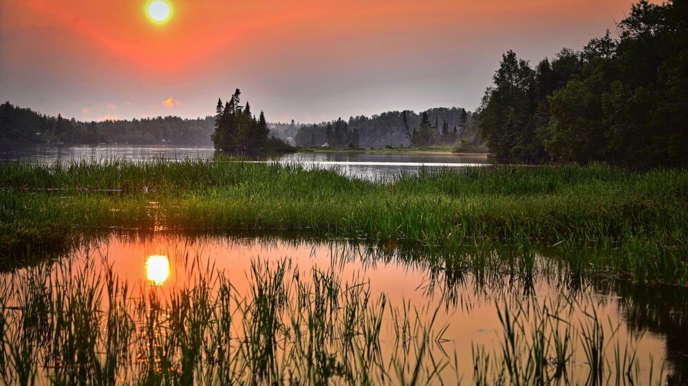 Sunset over a freshwater wetland