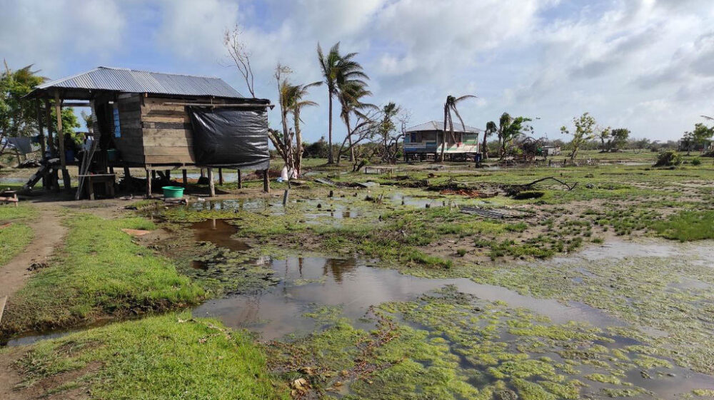 Consecuencias de huracanes ETA y IOTA en Nicaragua y Guatemala En el marco del llamamiento de los planes de emergencia por el impacto de los huracanes ETA y IOTA, se registró la situación de pequeños productores en Nicaragua y Guatemala.