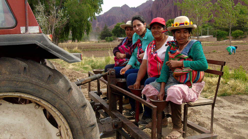 Tupiza women farmers sowing corn