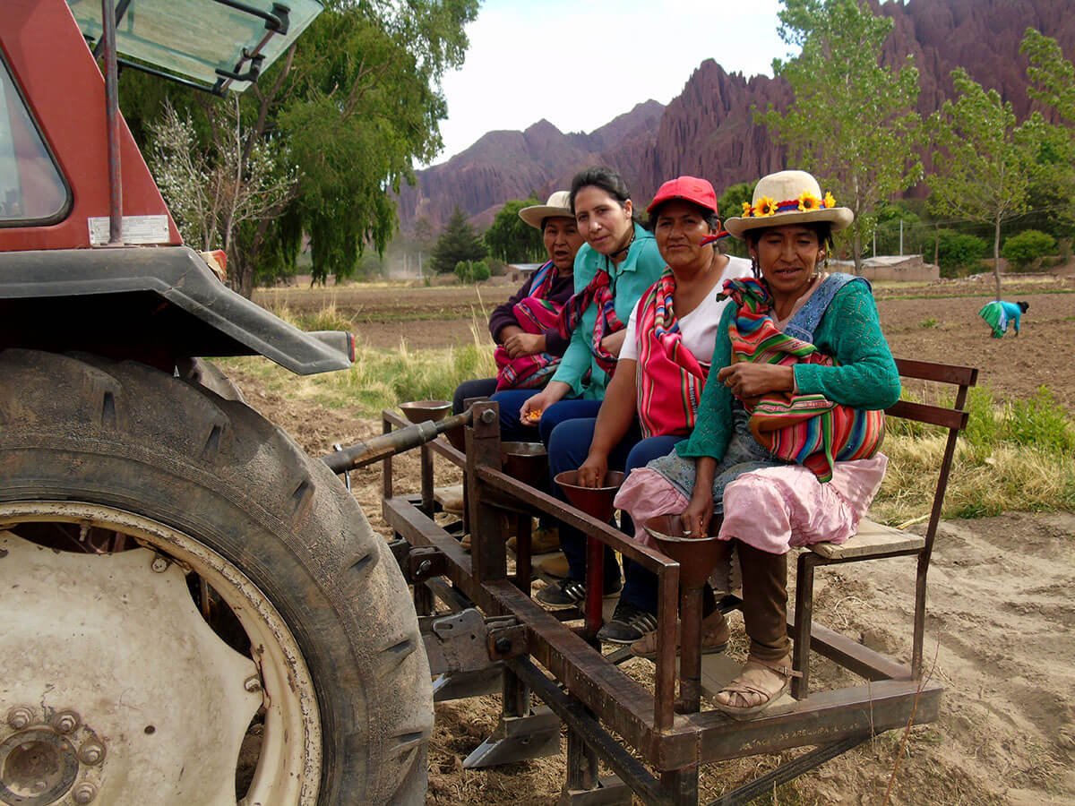 Tupiza women farmers sowing corn