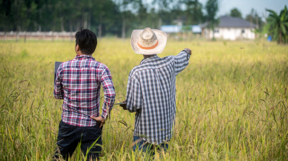 Two agricultural researchers stand in cornfield holding digital tools