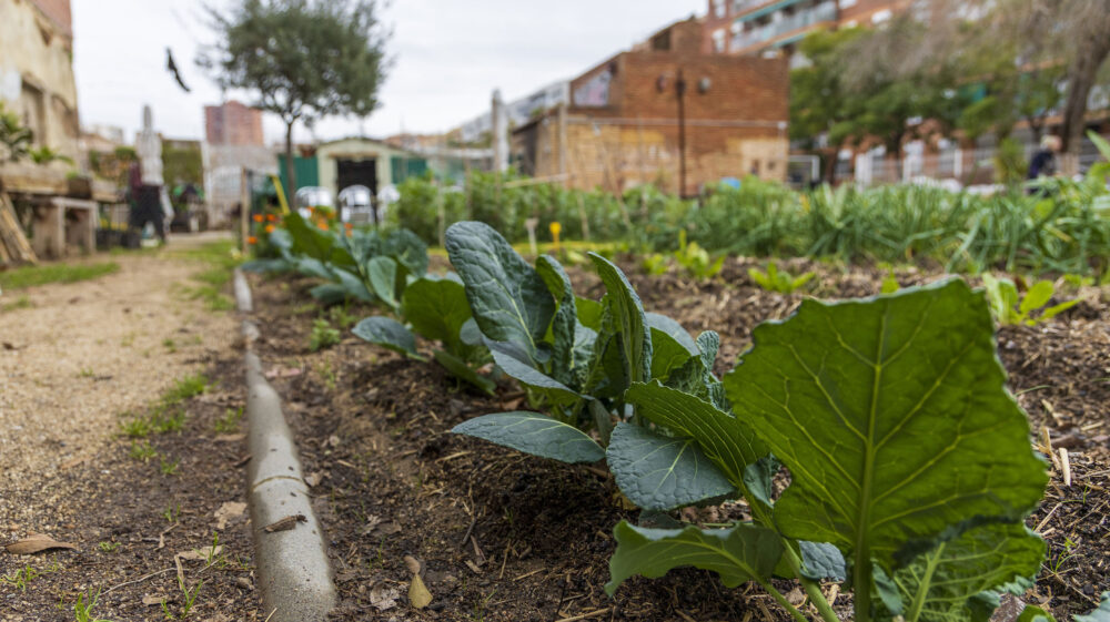 Ecological and urban garden, Barcelona, Spain