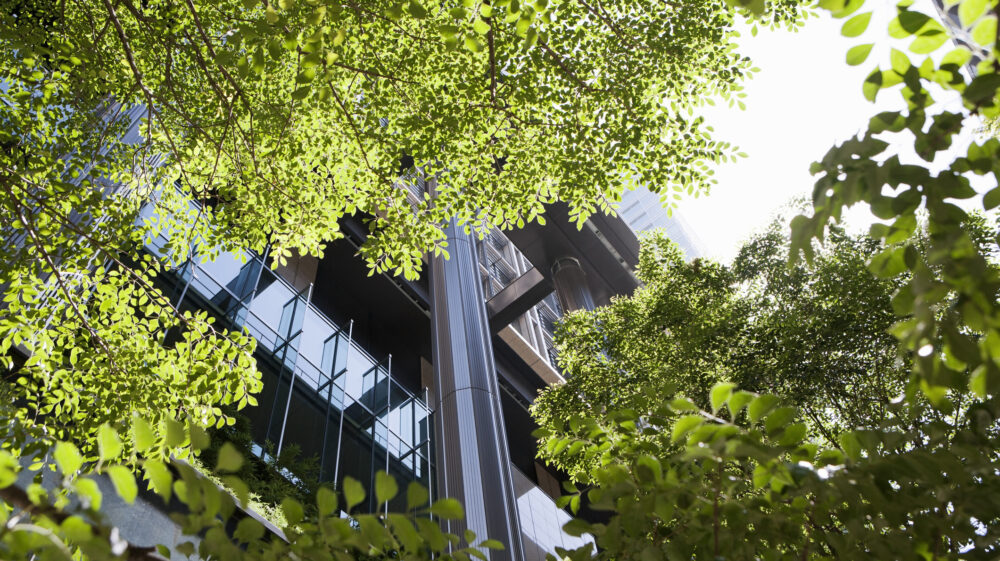 Upward view of office building through green trees in front