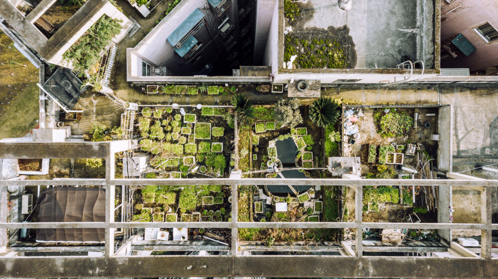 Aerial image of vegetable garden on building rooftop, Chongqing, China