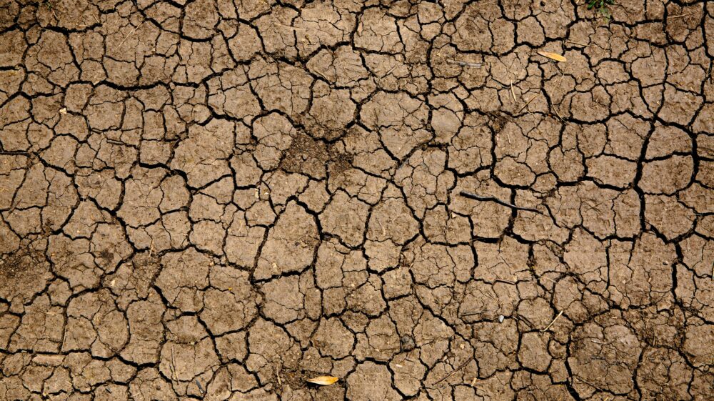 Scorched earth due to climate change