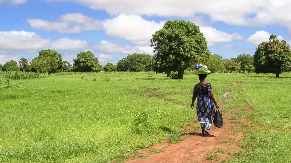 Burkinabé woman carrying goods on her head wearing blue dress and carrying a black bag on countryside path surrounded by green grass and trees in background, Bobo-Dioulasso Department, Houet Province, southwestern Burkina Faso