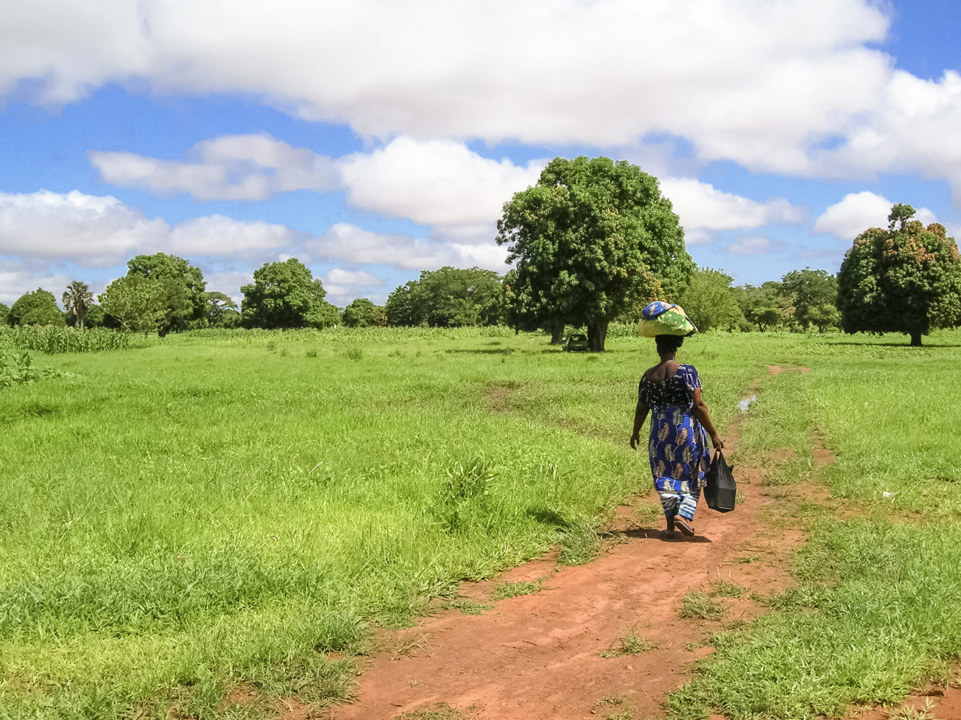 Burkinabé woman carrying goods on her head wearing blue dress and carrying a black bag on countryside path surrounded by green grass and trees in background, Bobo-Dioulasso Department, Houet Province, southwestern Burkina Faso