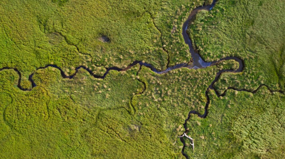 Aerial view of vibrant green coastal marsh near Three Rocks State Park, Oregon coast