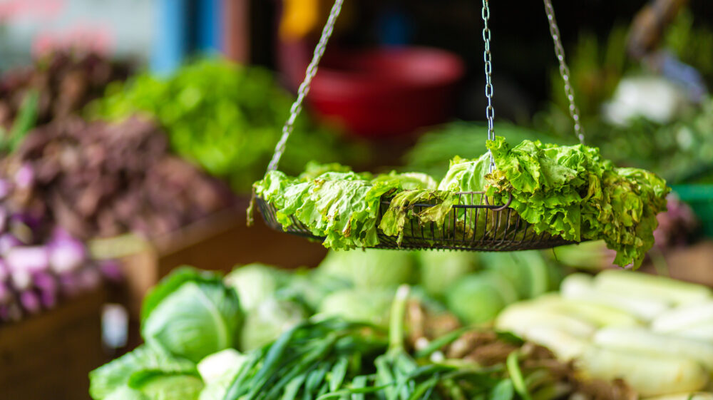 Rotten leaf lettuce on display stand of vegetable stall