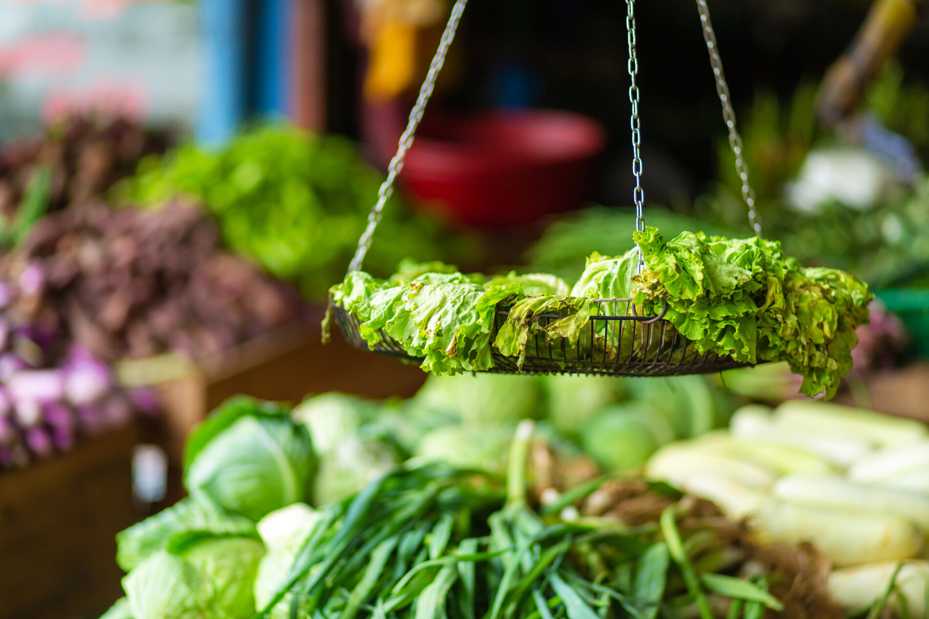 Rotten leaf lettuce on display stand of vegetable stall