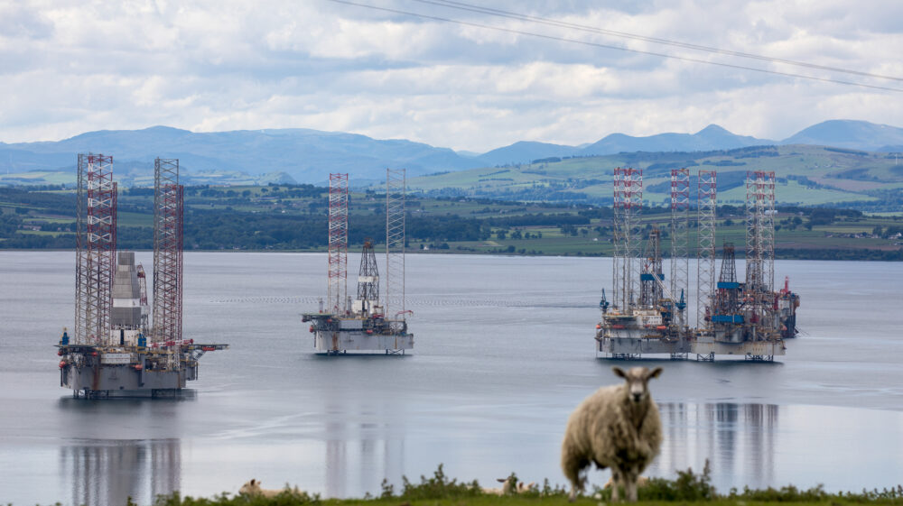 Offshore drilling rigs with sheep in foreground on green grass, Cromarty, Highland, Scotland
