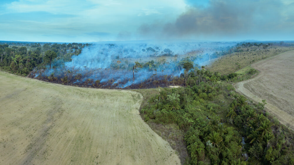 Aerial view of deforestation area for pasture, livestock and agriculture soy farm with forest in foreground, Amazon rainforest, Brazil