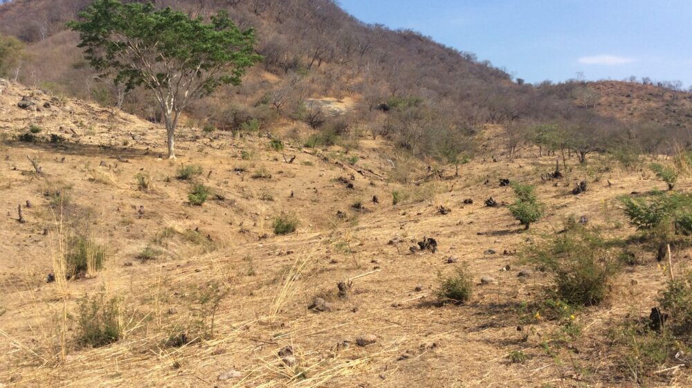 Technical tour in Honduras: promising sites for water harvesting in Nacaome