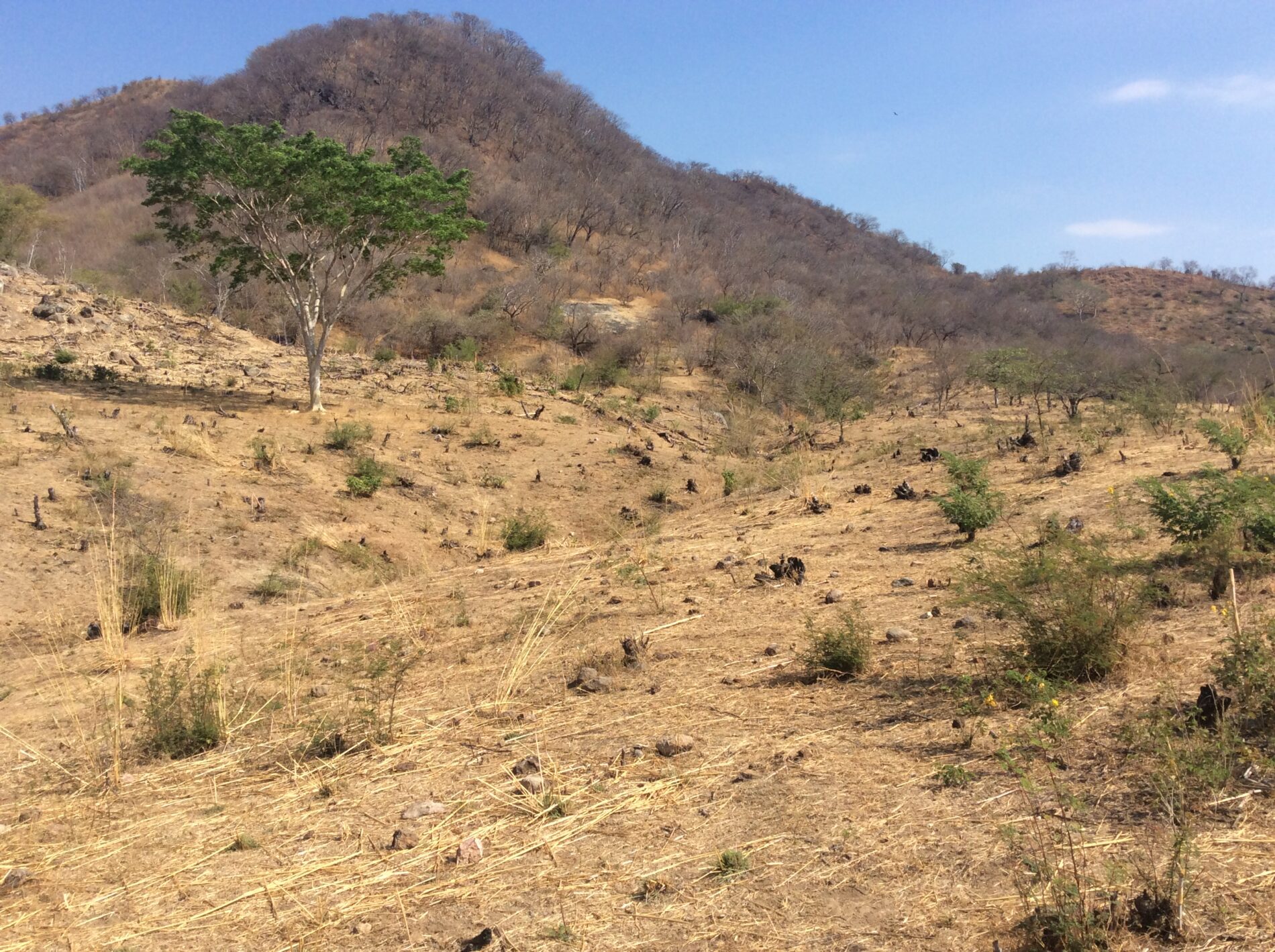 Technical tour in Honduras: promising sites for water harvesting in Nacaome