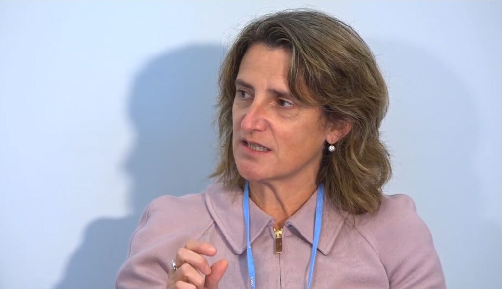 Teresa Ribeira, Spain's minister for the Ecological Transition