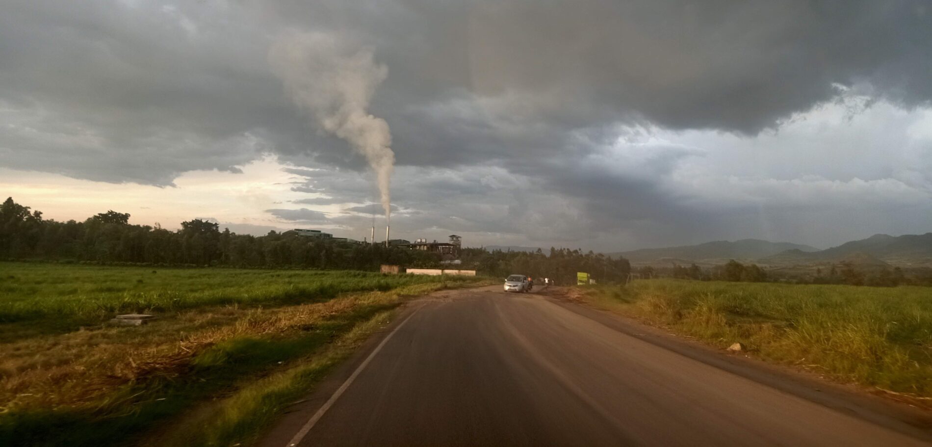 Sugar processing farms near Lake Victoria in western Kenya