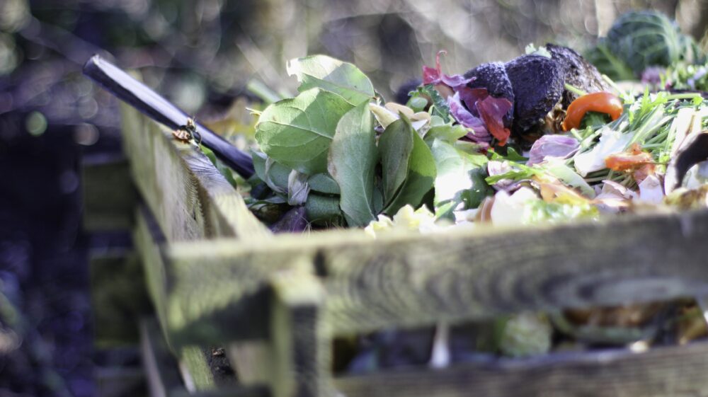 food waste on compost heap