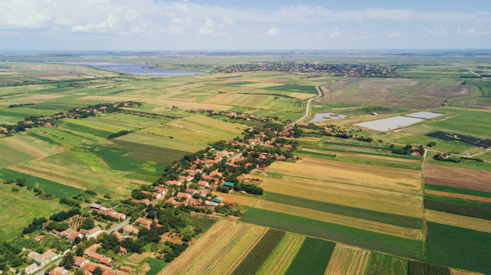 Drone image of yellow oilseed rape fields, Serbia