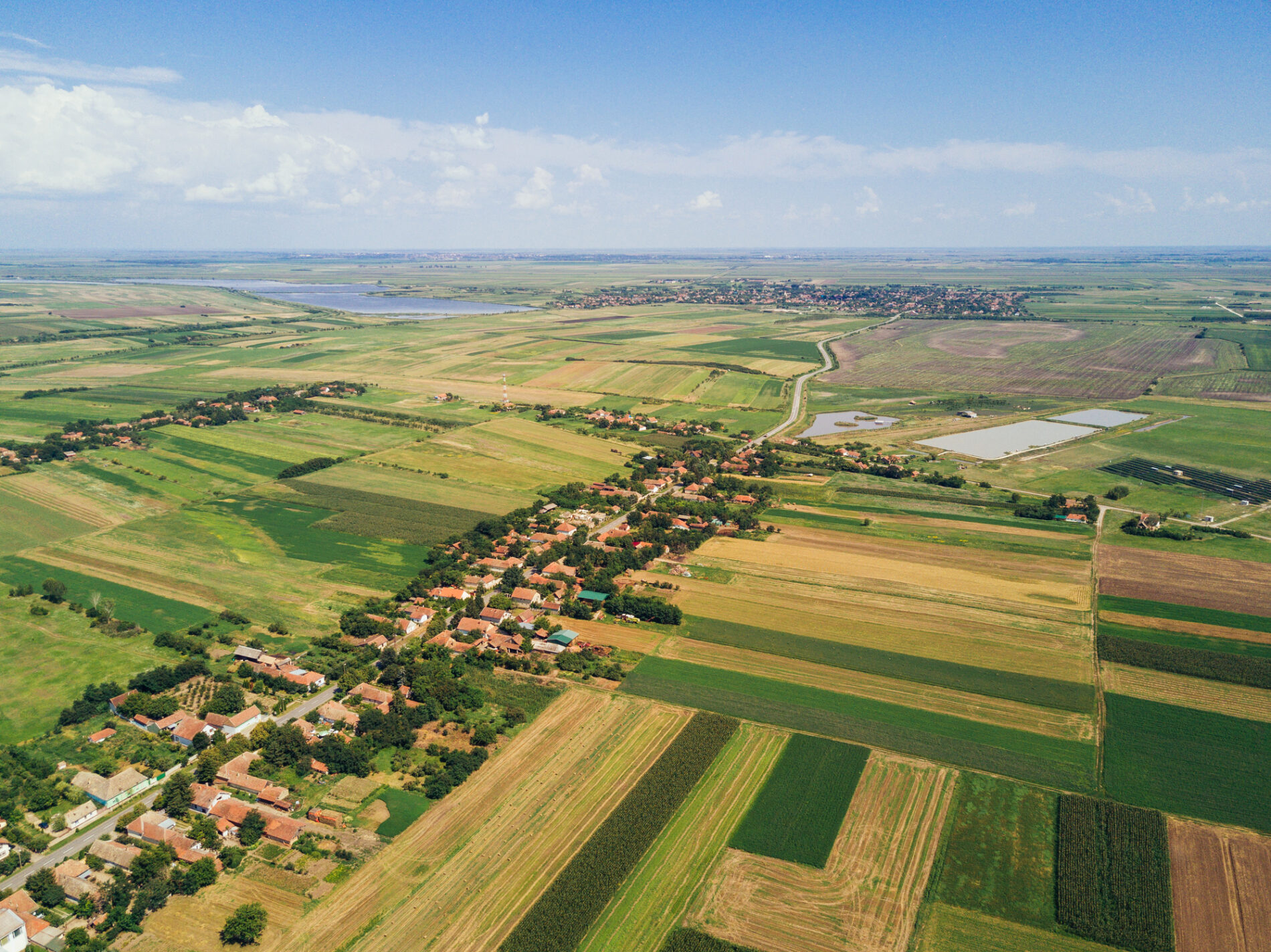 Drone image of yellow oilseed rape fields, Serbia