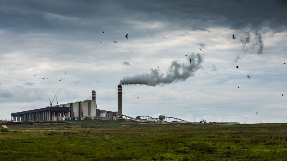 Smoke billow from smokestack at factory in background on cloudy day with birds flying in front above green grass, Mpumalanga, South Africa