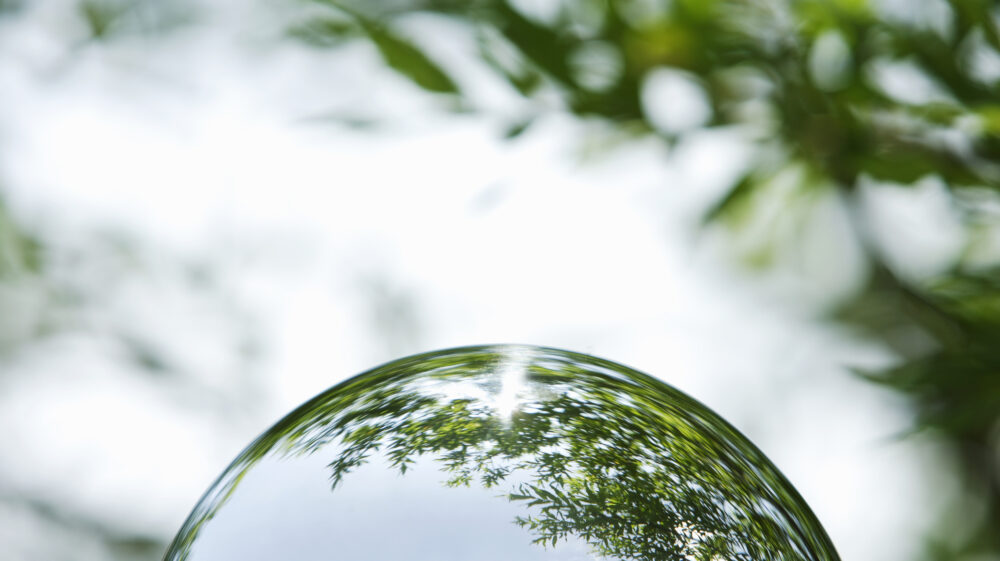 Reflection of green tree leaves off top of transparent glass ball