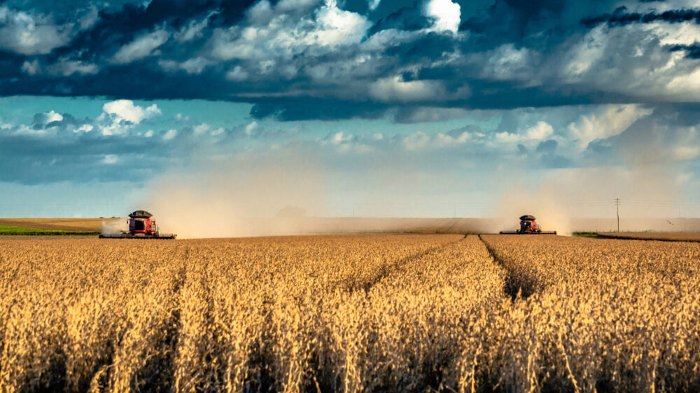 Harvesting of soybeans in Mato Grosso, Brazil