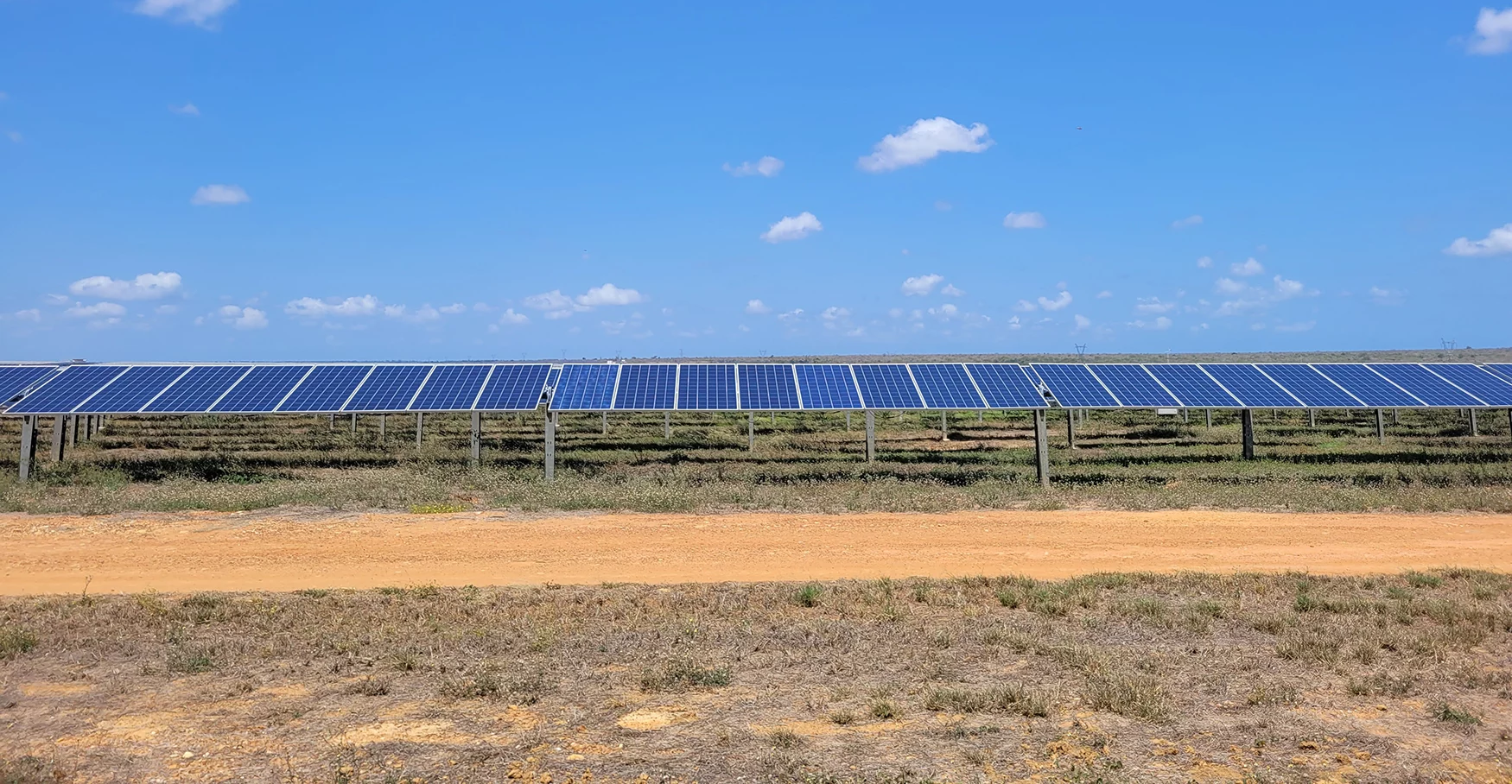 A wide field of solar panels under a bright blue sky with scattered clouds. The ground is covered with dry grass and a dirt pathway runs across the foreground.