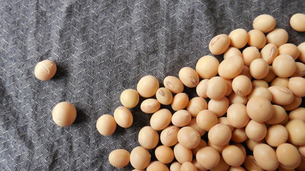 Soybeans