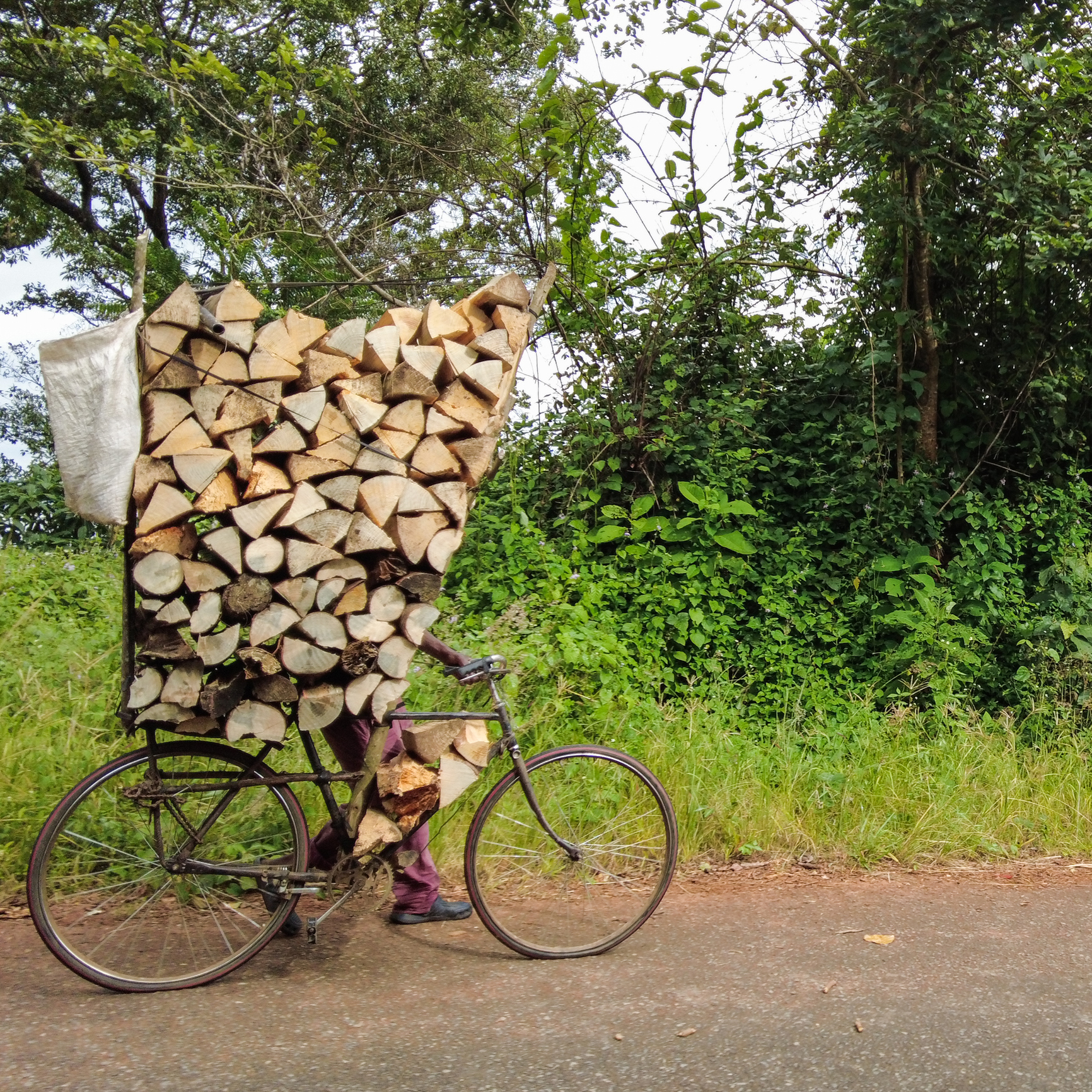 Person transporting tall stack of firewood by bicycle down mountain pass, Zomba, Malawi