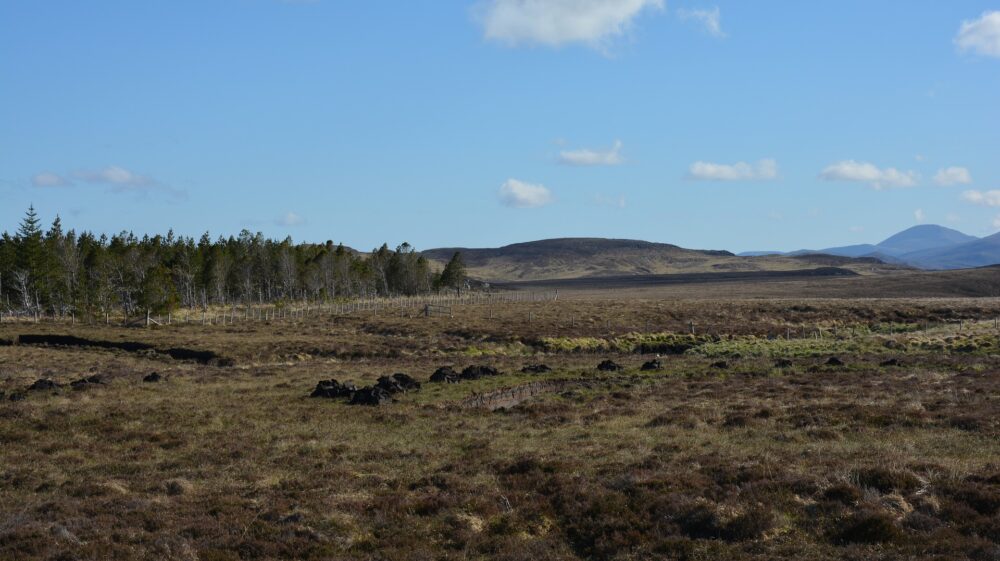 Peatland