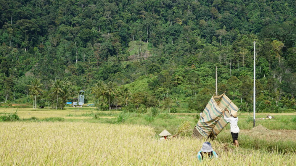 Farming communities in Simancuang Village Forest, West Sumatra, Indonesia conserve forest to protect water resources for agriculture