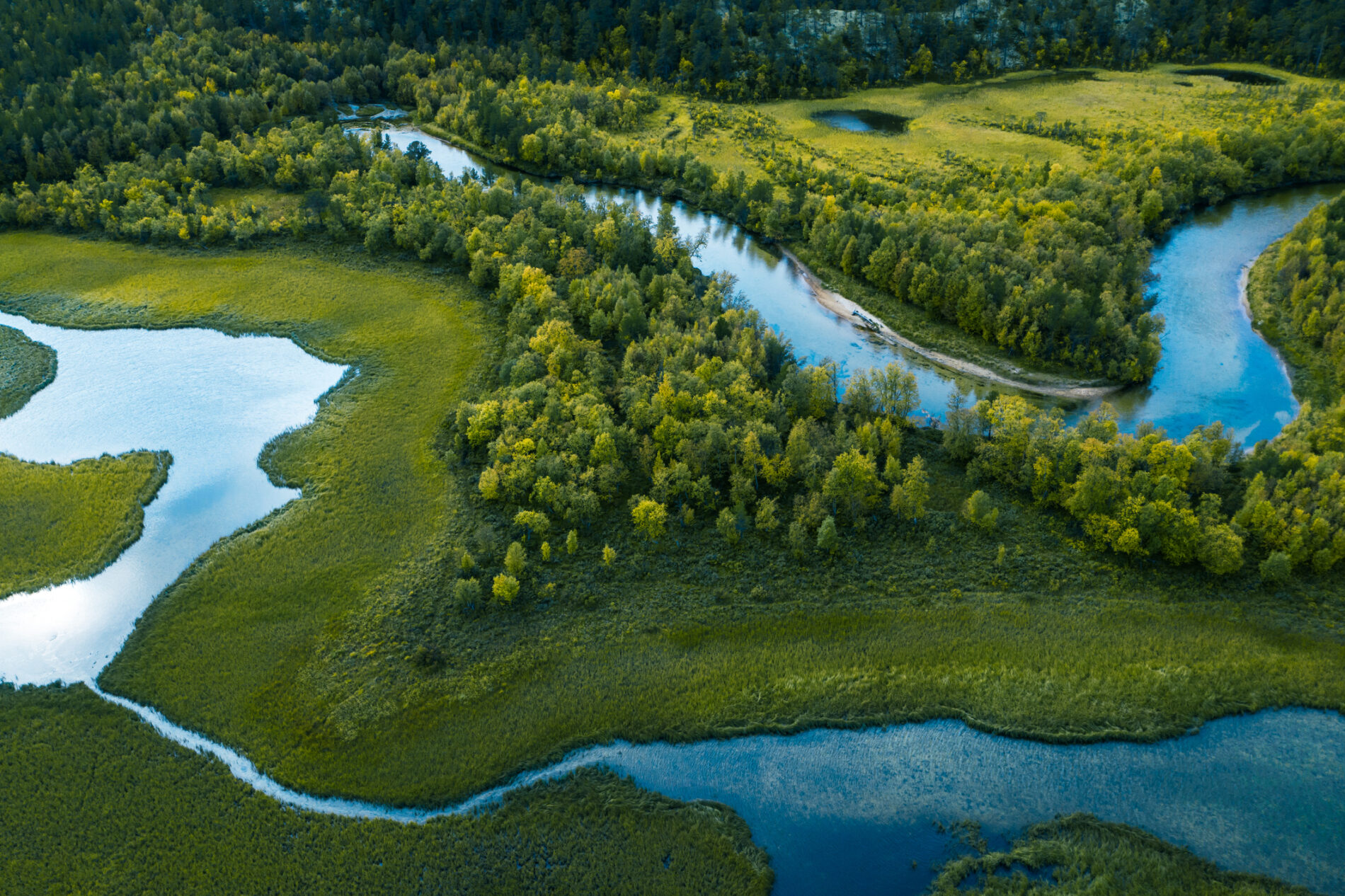 Swamp, river and trees seen from above by drone, Straumbu, Hedmark, Norway