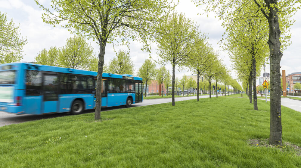Bus on road, Sweden