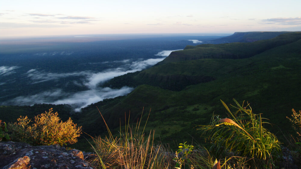 Sunrise with view of tropical dry forest on top of La Meseta Table Mountain, Noel Kempff Mercado National Park, Bolivia