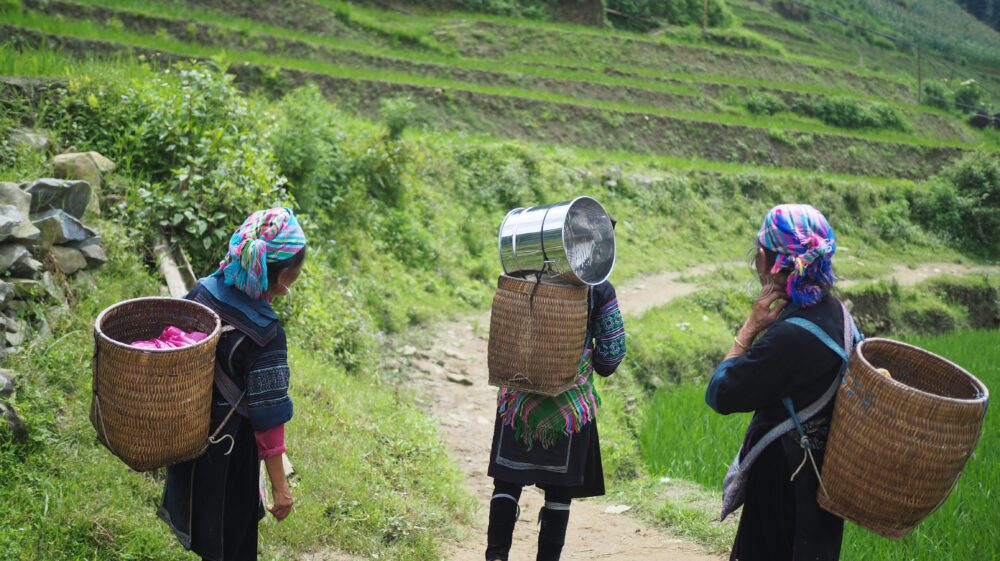 Three women wearing traditional dress and head coverings carrying wicker baskets on their backs with the woman in the centre also carrying a metal pot on top walking down a mountain path in the middle of rice paddies, North Viet Nam
