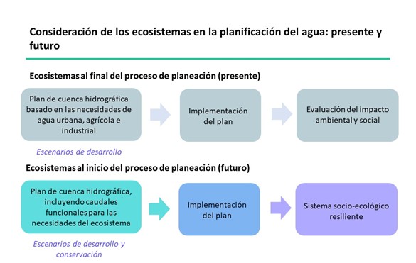 Consideración de los ecosistemas en la planificación del agua: presenta y futuro