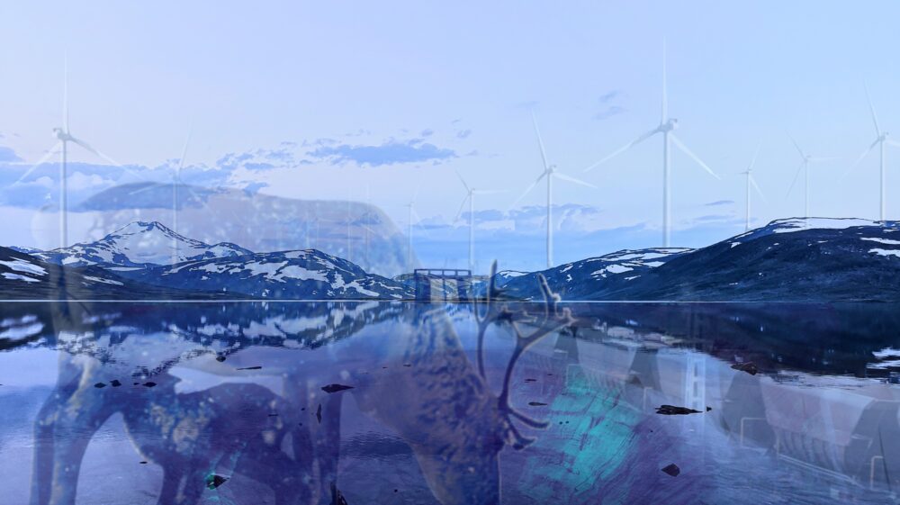 Raindeers and wind power with mountains in the background
