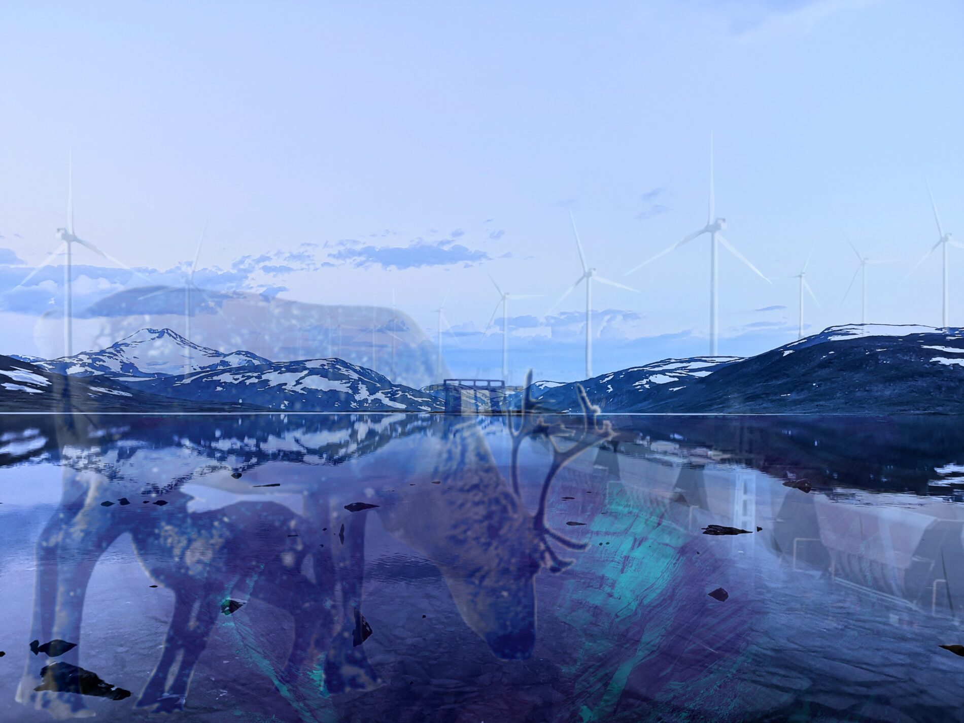 Raindeers and wind power with mountains in the background