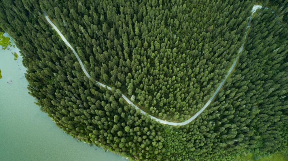 Aerial view of road through green forest, Lijiang, Yunnan Province, China