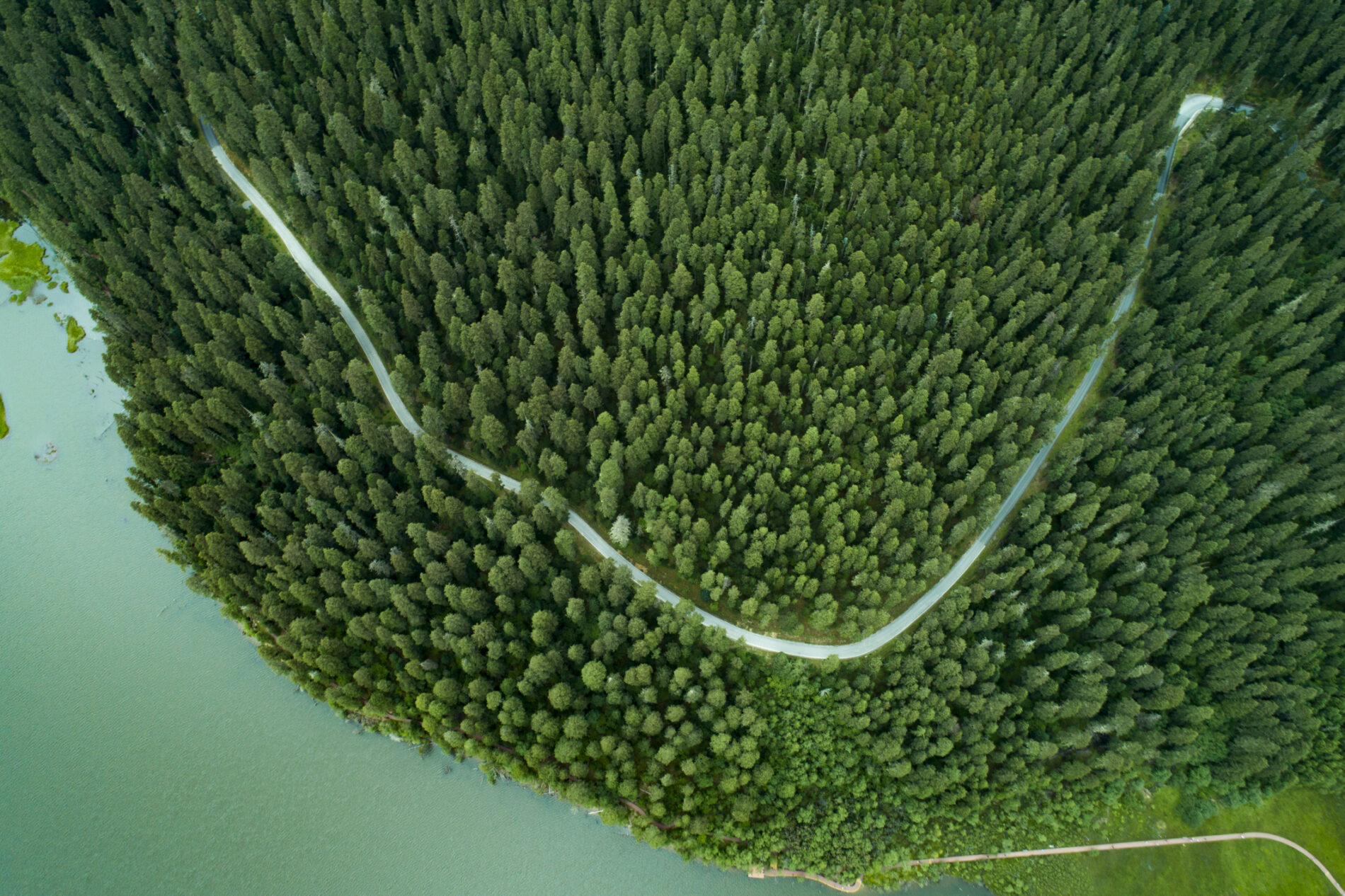 Aerial view of road through green forest, Lijiang, Yunnan Province, China