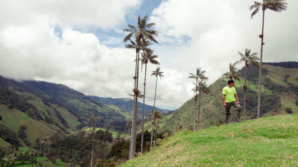 Man in fluorescent yellow T-shirt stands beneath palm trees on a Colombian hillside, backed by lush rolling hills and a mostly cloudy sky