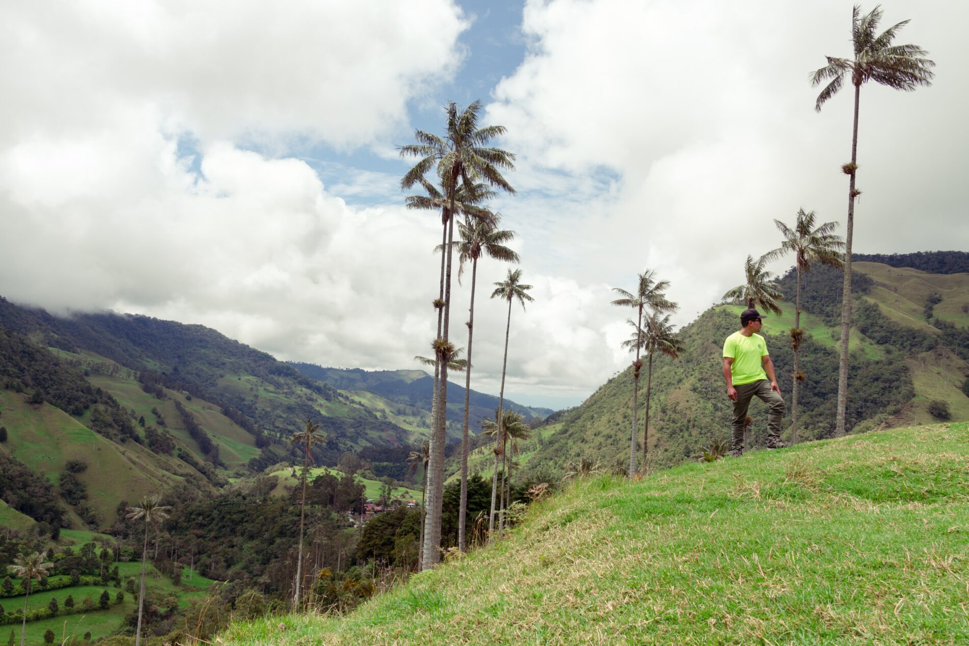 Man in fluorescent yellow T-shirt stands beneath palm trees on a Colombian hillside, backed by lush rolling hills and a mostly cloudy sky