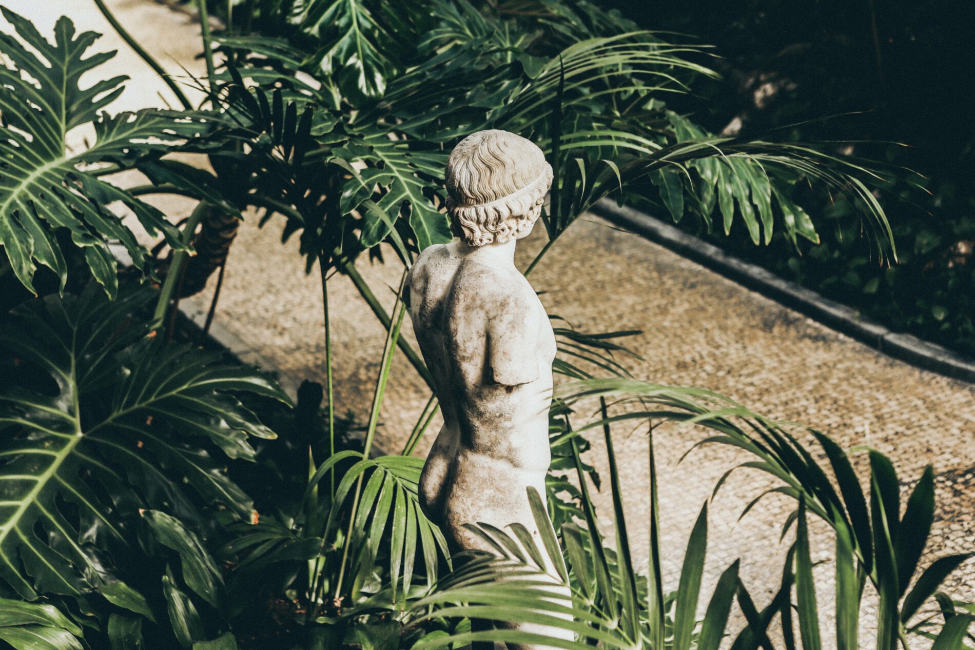 White-grey statue viewed from behind of man with lower half of arms missing between green plant branches, Museum of Fine Arts, Boston, MA, US
