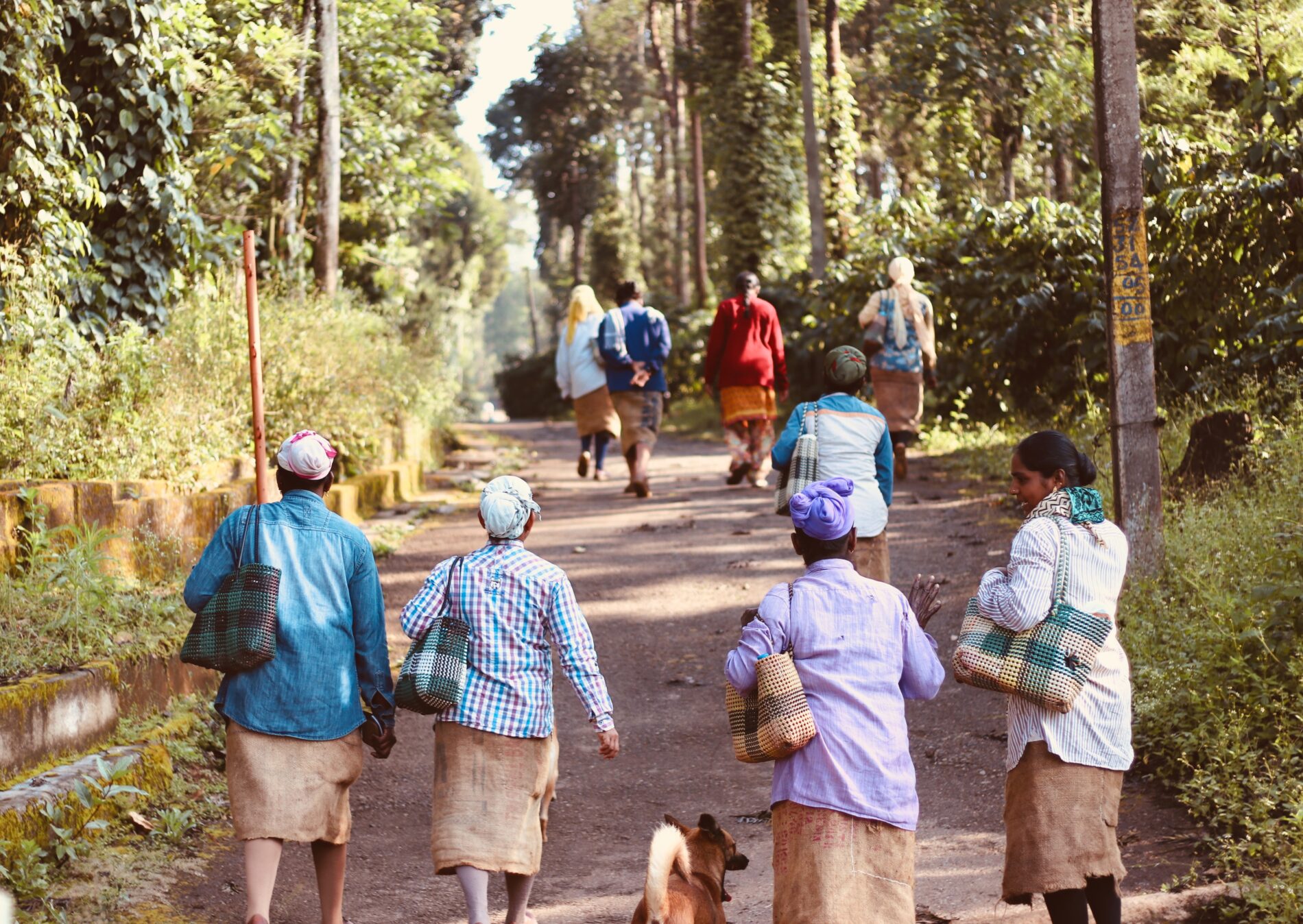 Rural residents walking on dirt path in forest with dog, India