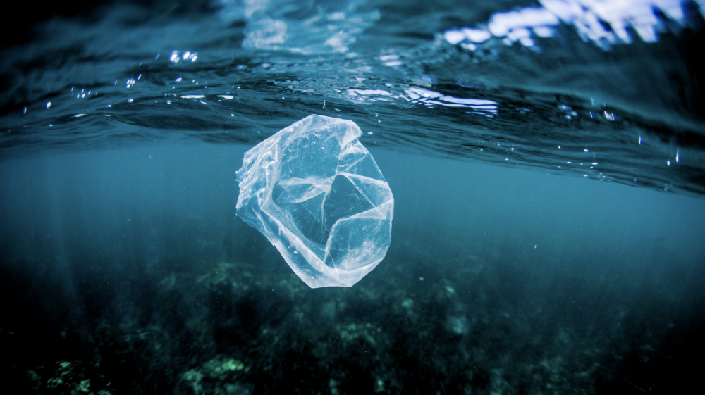 Plastic bag floating over reef in the ocean, Costa Rica - stock photo