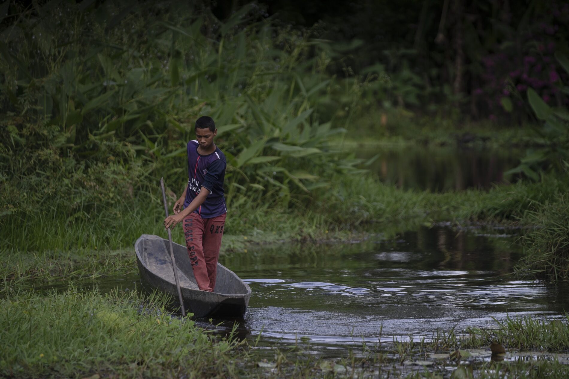 Man paddling rowboat in green swamp