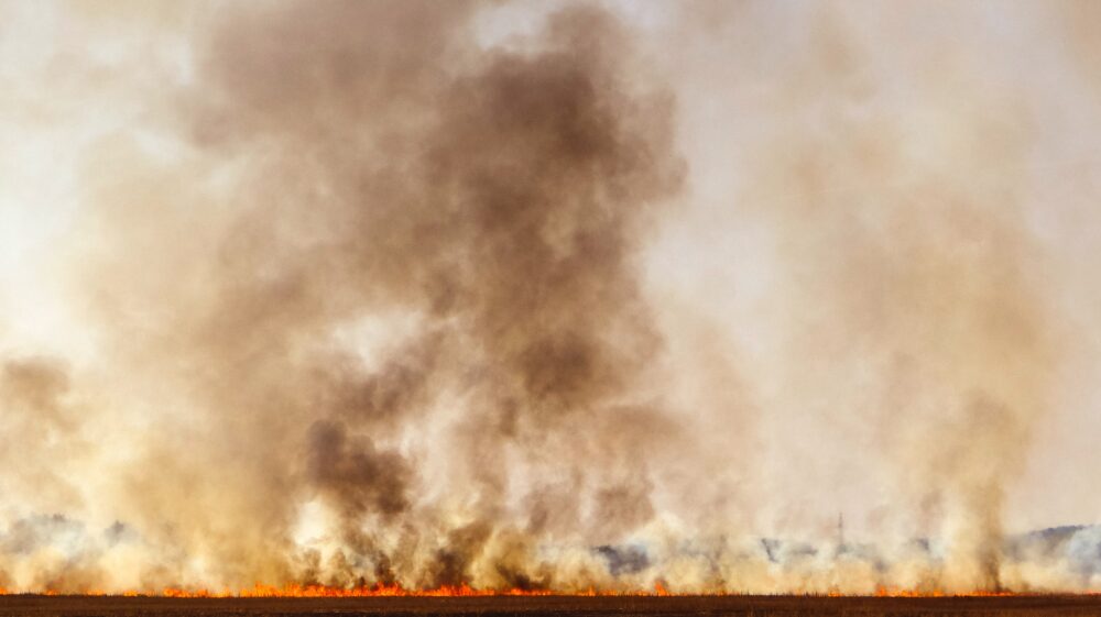 Burning crops in field